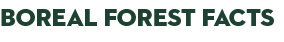 Boreal Forest Facts logo