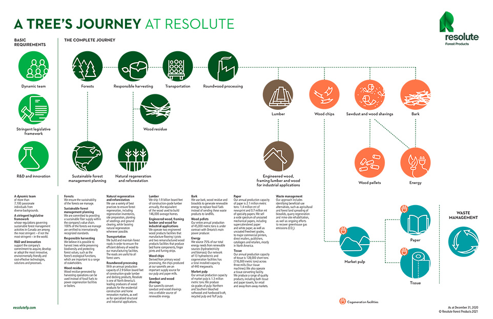 A tree's journey at Resolute
