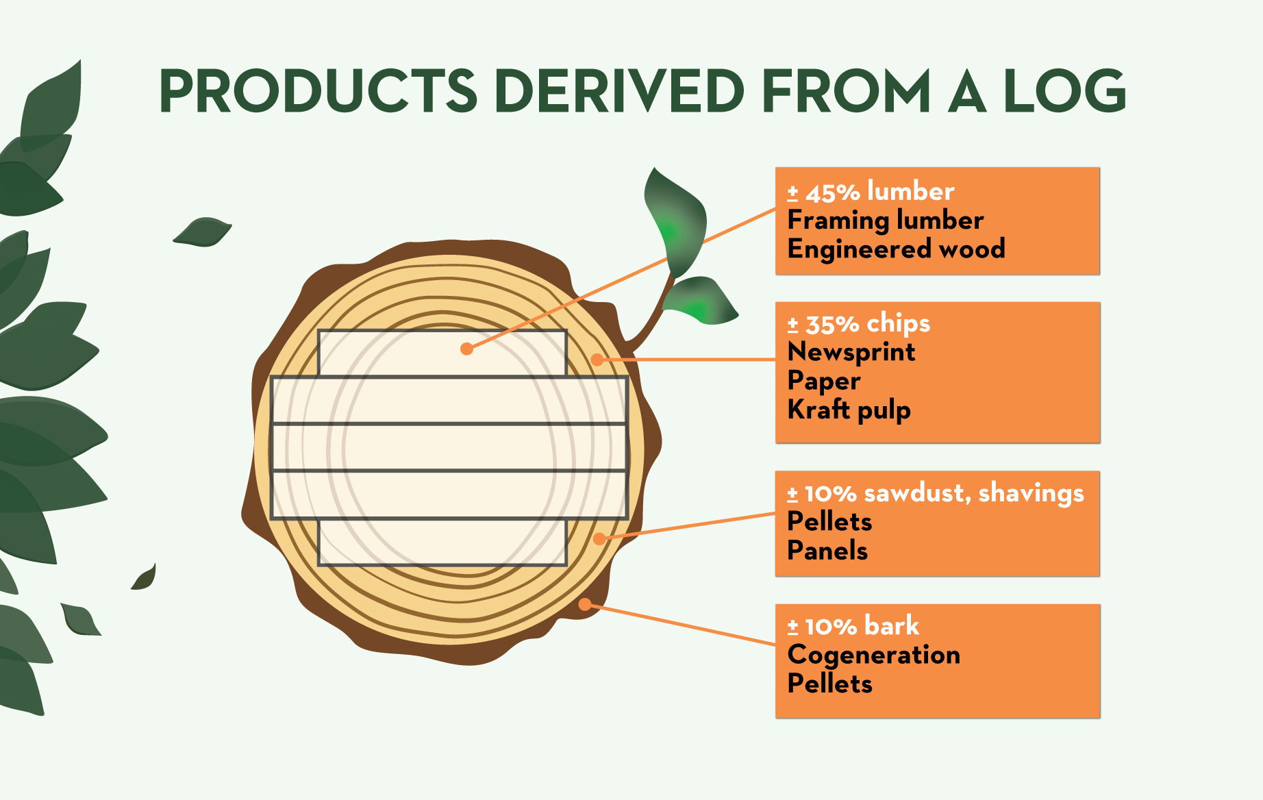 list of products derived from a log